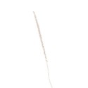 floral stick ivory