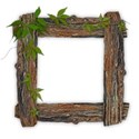 frame wood ivy