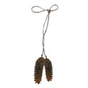 pinecone hang