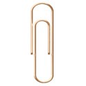 PaperClip1