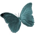 Butterfly_3