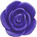 blue rose