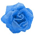 bue fabric rose