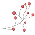 DZ_HS_berries