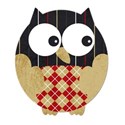 owl1