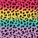 paper-rainbow-leopard