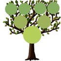 tree5