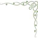 corner-vine