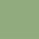 paper-plain-green