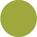 DPC-SHAPES1-13