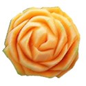 cantaloupe rose