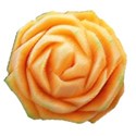 cantaloupe rose