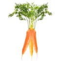 carrot cluster