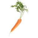 carrot2