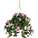 hanging basket