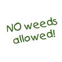 no weeds allowed