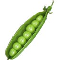 pea pod