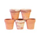 pots 5