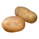 potatoes