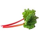 rhubarb