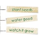 tags plant seeds water watch grow
