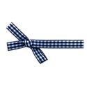 bow checkered blue