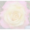 faded peace Rose background