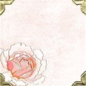 pink rose scrapbook page copy