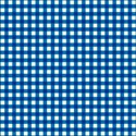 Gingham_2
