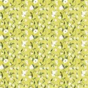 white flowers with lemon
