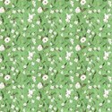 White flowers with lime