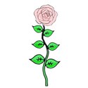 pink hand drawn rose with leaves