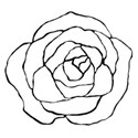 rose line art