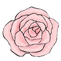 hand drawn pink rose