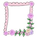 pink hand drawn rose frame right