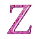 shiney capital pink z