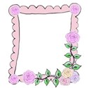 pink rose frame right