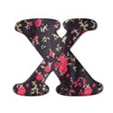 x
