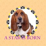 A star Born A star Born
