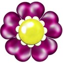 purple heart flower