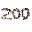 zoo