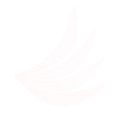 white feather