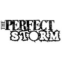 perfect storm copy