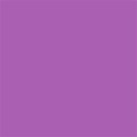 poppy Purple background