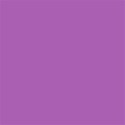 poppy Purple background