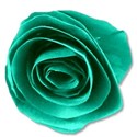 paperflowergreen