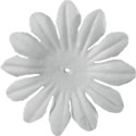 kitc_july_flowerwhite