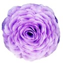 purpleflower2