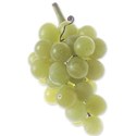 BD_Grapes_02