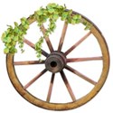 BD_Wheel_02